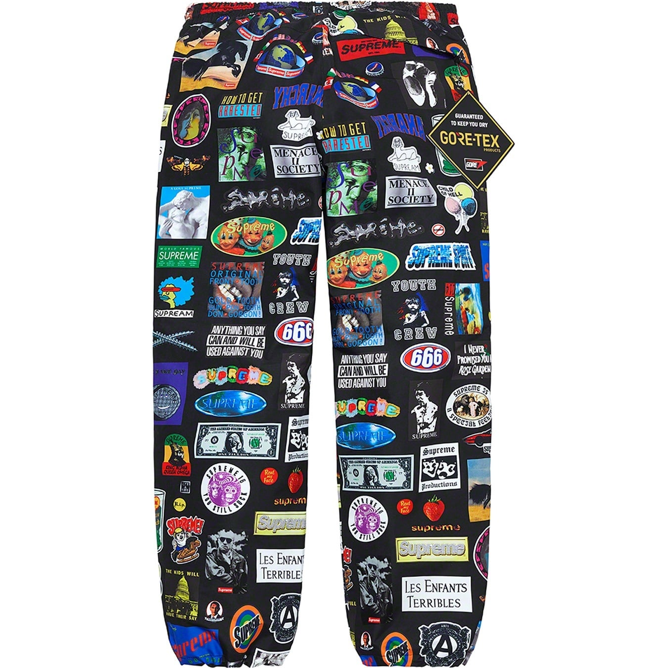 GORE-TEX Stickers Pant view 4